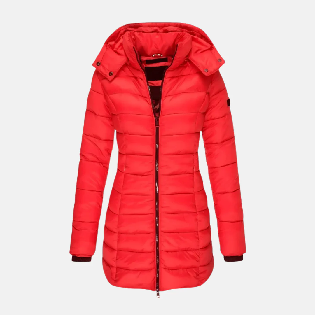 Women's Puffer Jacket – Slim Fit – Padded – Mid-length – With Hood and Ribbed Cuffs - Image 7