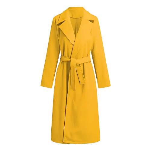 Ladies Winter Coat - Sky Long Coat for Cold Days - Image 19