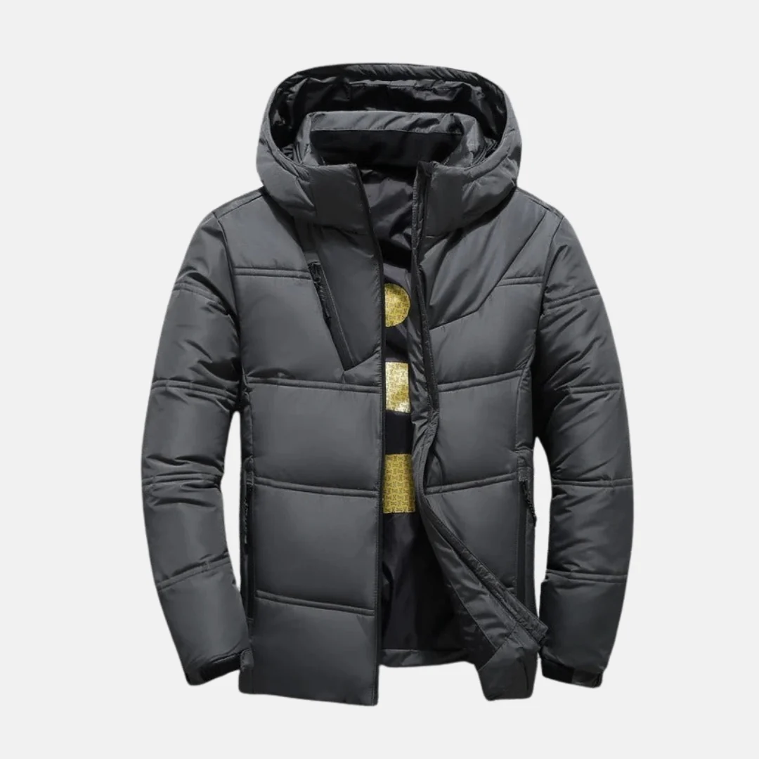 Men's Down Jacket – Regular Fit – Lined – Hood – Full Zip Closure – Pockets - Image 2