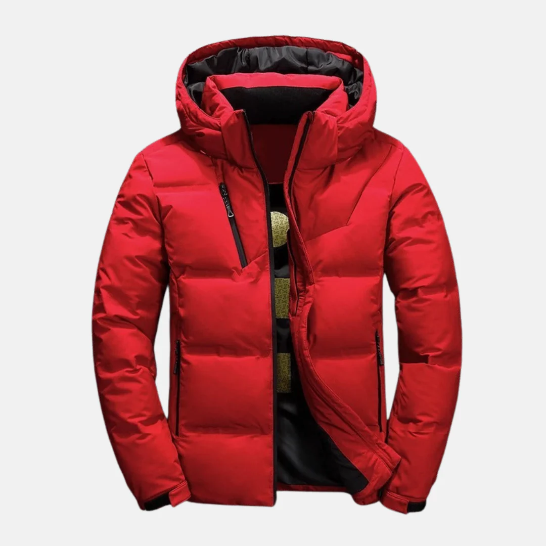 Men's Down Jacket – Regular Fit – Lined – Hood – Full Zip Closure – Pockets - Image 4